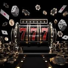 bet55