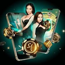 bet55