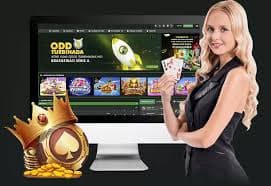 bet55